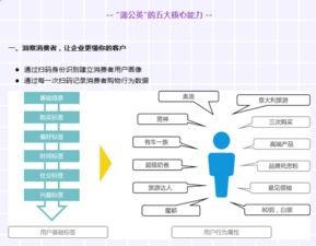 精准化数字营销新航标 为何选择CCN中商蒲公英营销数字化解决方案