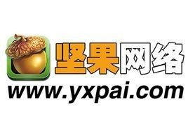 上海坚果网络科技发展 引领网络技术服务创新的前沿力量