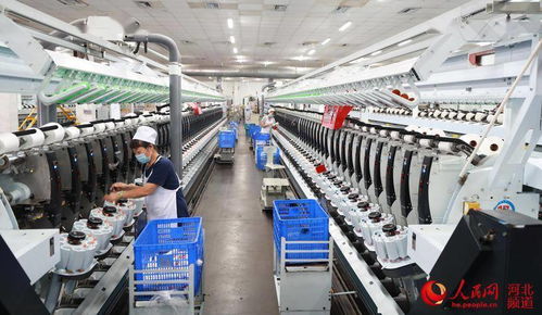 河北东光 科技赋能打造高质量产品，抢占国际市场新机遇