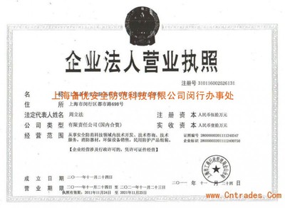 上海网络技术服务营业执照 申请要点与运营指南